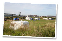 Cae cefn