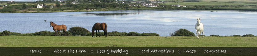 Bodfan Farm Caravan & Camping site