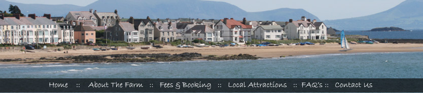 Bodfan Farm Caravan & Camping site